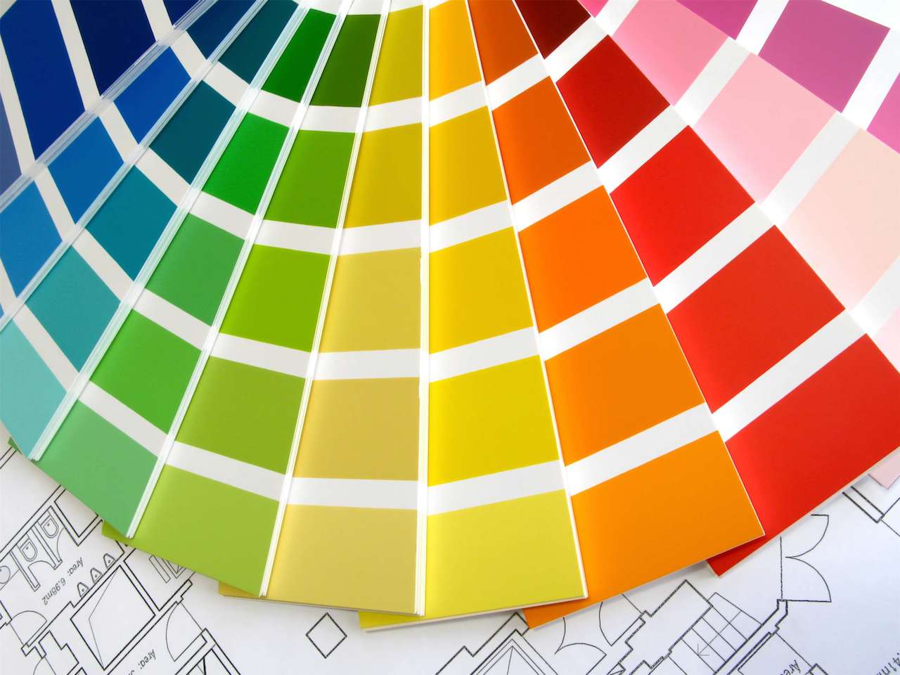 Shopping for Paint